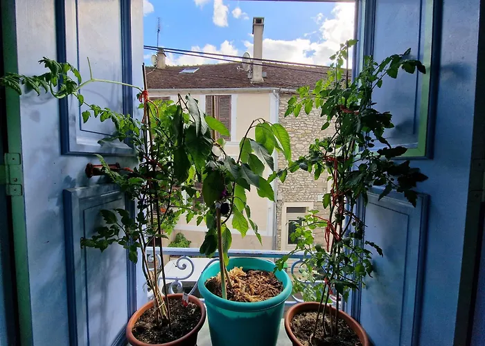 Chez Mamichou