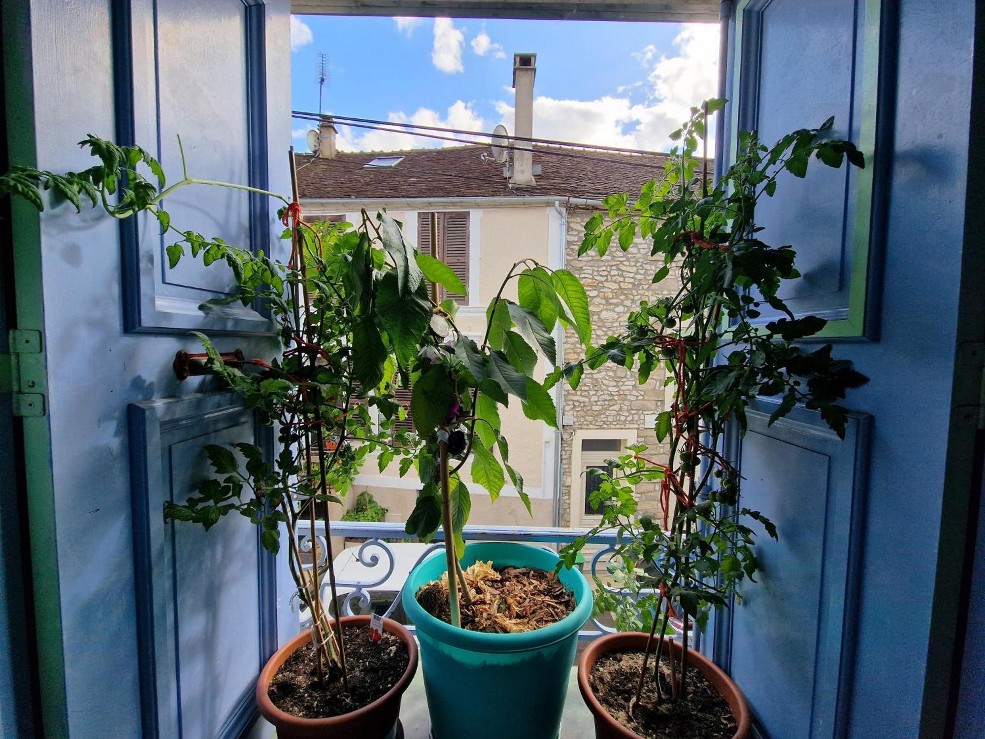 Chez Mamichou * Moret-sur-Loing